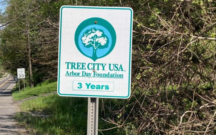 Tree City Sign
